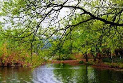 1481794440_16071_7.jpg